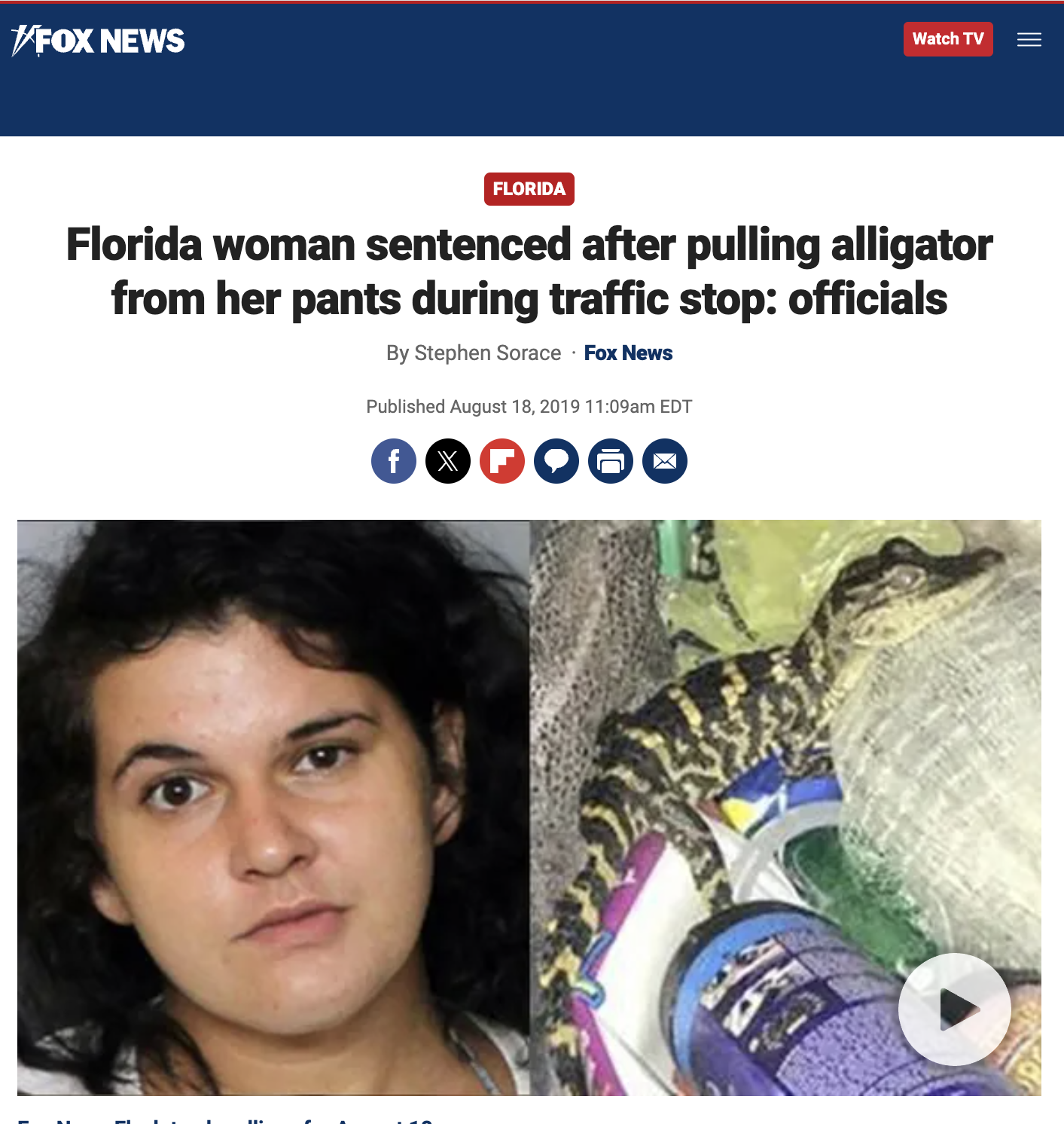 15 Florida Woman Headlines to Celebrate International Women's Day